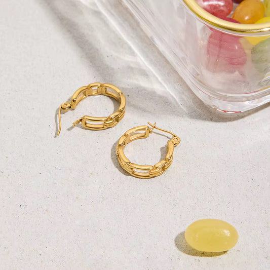 The Link Earrings